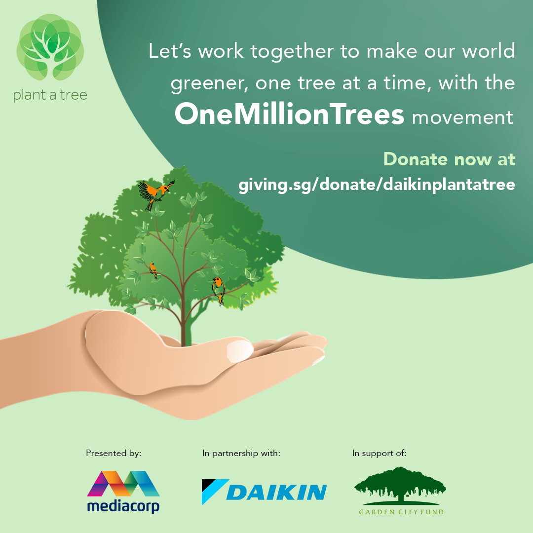 Plant a Tree