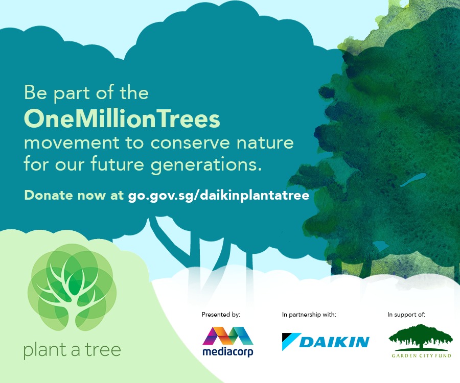 Plant a Tree