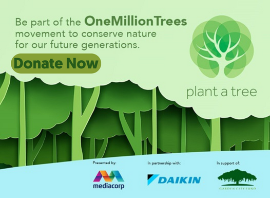 Plant a Tree